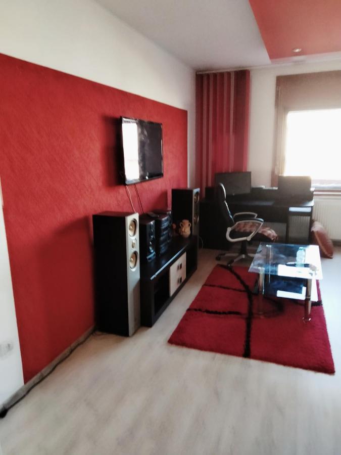 Apartament Cu Terasa La Casa Tina Temešvár Exteriér fotografie