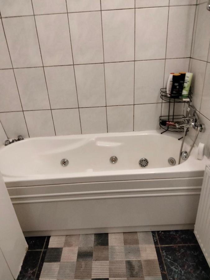 Apartament Cu Terasa La Casa Tina Temešvár Exteriér fotografie
