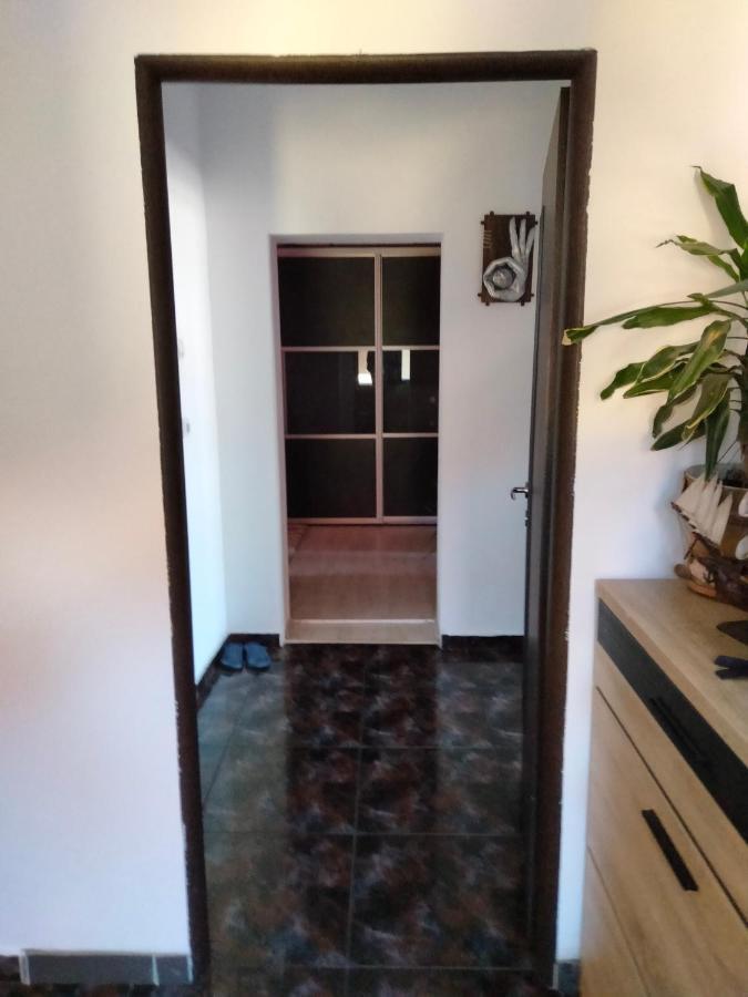 Apartament Cu Terasa La Casa Tina Temešvár Exteriér fotografie