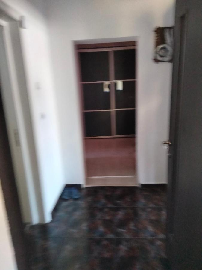 Apartament Cu Terasa La Casa Tina Temešvár Exteriér fotografie