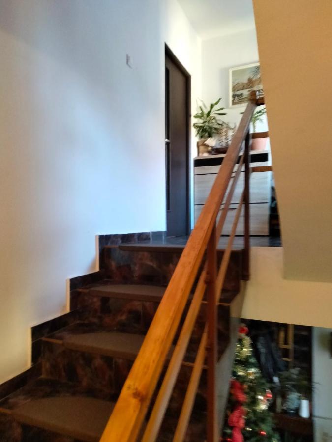 Apartament Cu Terasa La Casa Tina Temešvár Exteriér fotografie