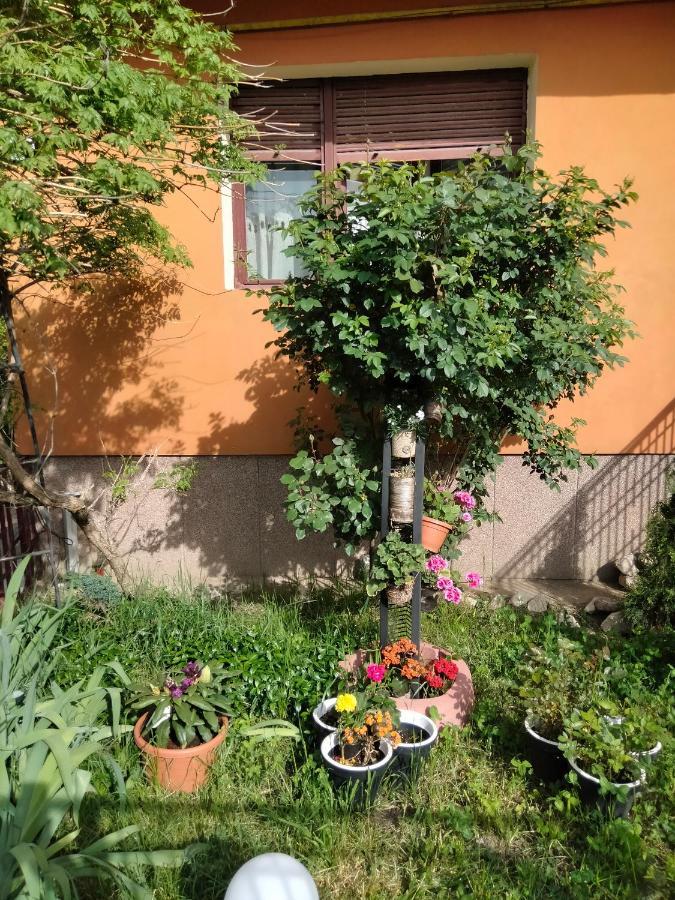 Apartament Cu Terasa La Casa Tina Temešvár Exteriér fotografie